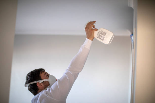 Best Post-Remediation Services in Vista Center, NJ